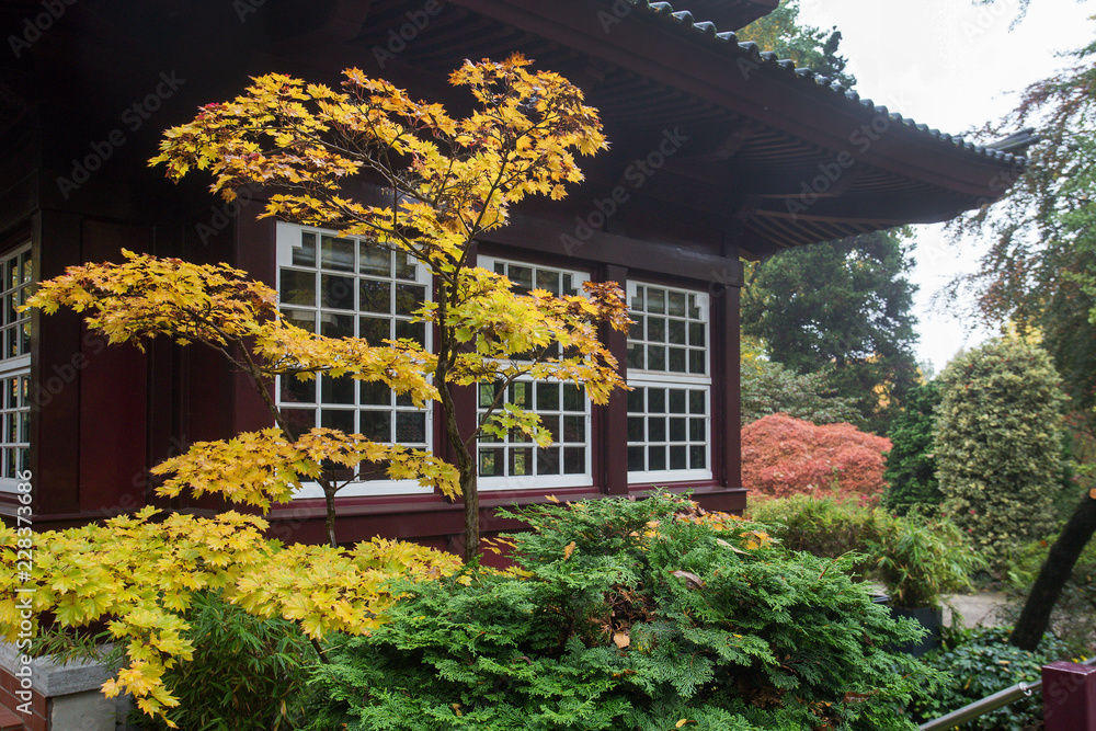 Japanese garden.  Leverkusen