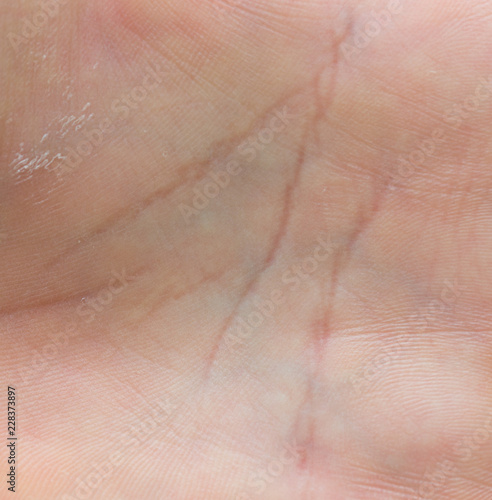 Close up macro image of the skin surface texture of human hands palms
