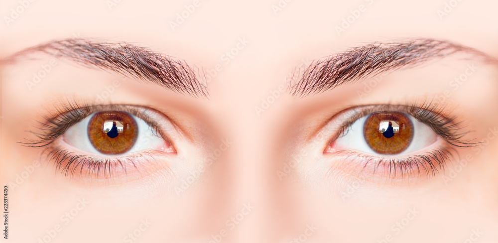 Naklejka premium Beautiful close-up female eyes