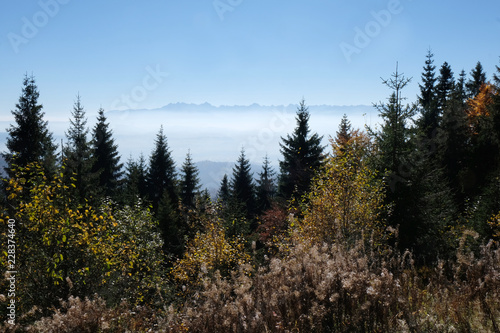 Polska, góry Gorce - widok z okoic Turbacza na zamglone Tatry