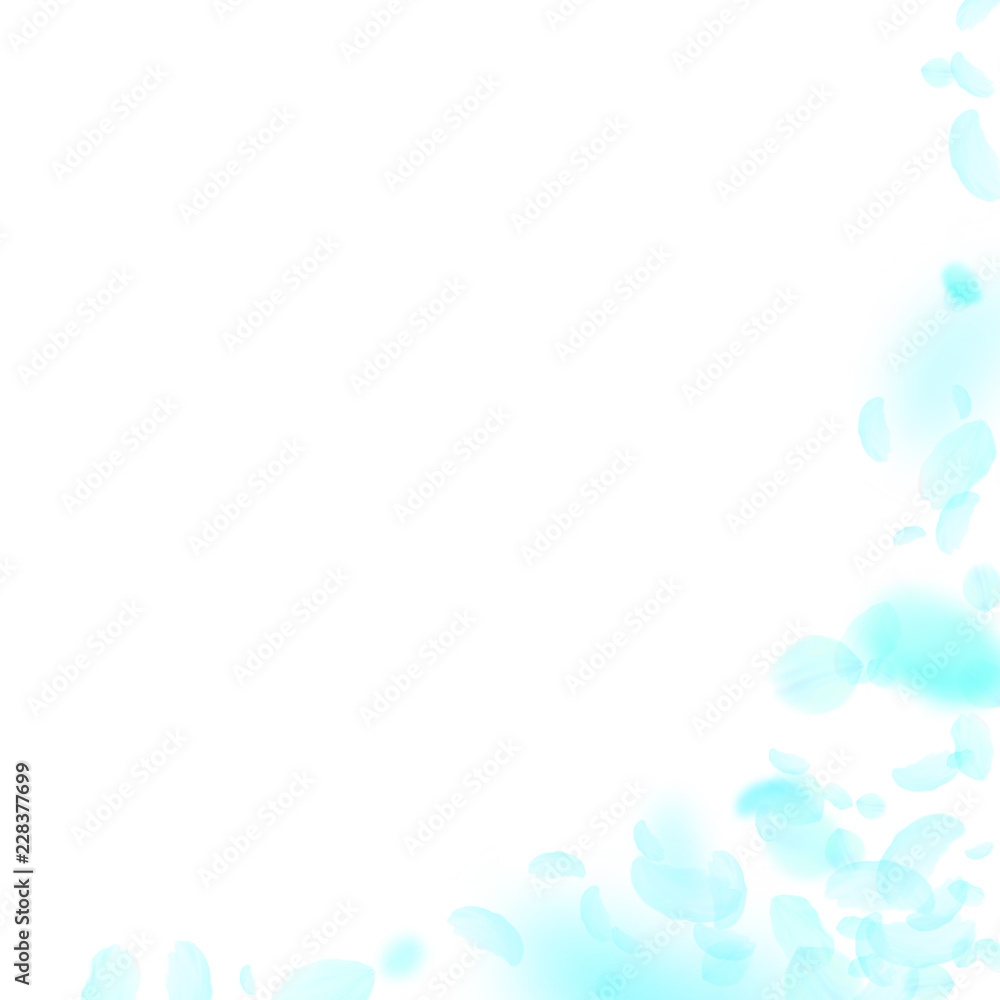 Turquoise flower petals falling down. Symmetrical Turquoise flower petals falling down. Symmetrical