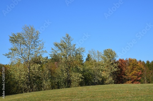 Herbstlandschaft - Hügellandschaft unter stahlblauem Himmel