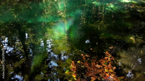 Beautiful pond in the forest Lacul Ochiul Beiului, Romania. National park Nerei beusnita. Autumn with beautiful colors.