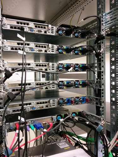 network cables connected to switch