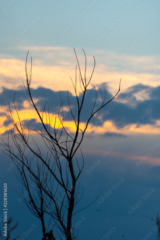 Fototapeta premium blue sky background with tiny clouds. panorama