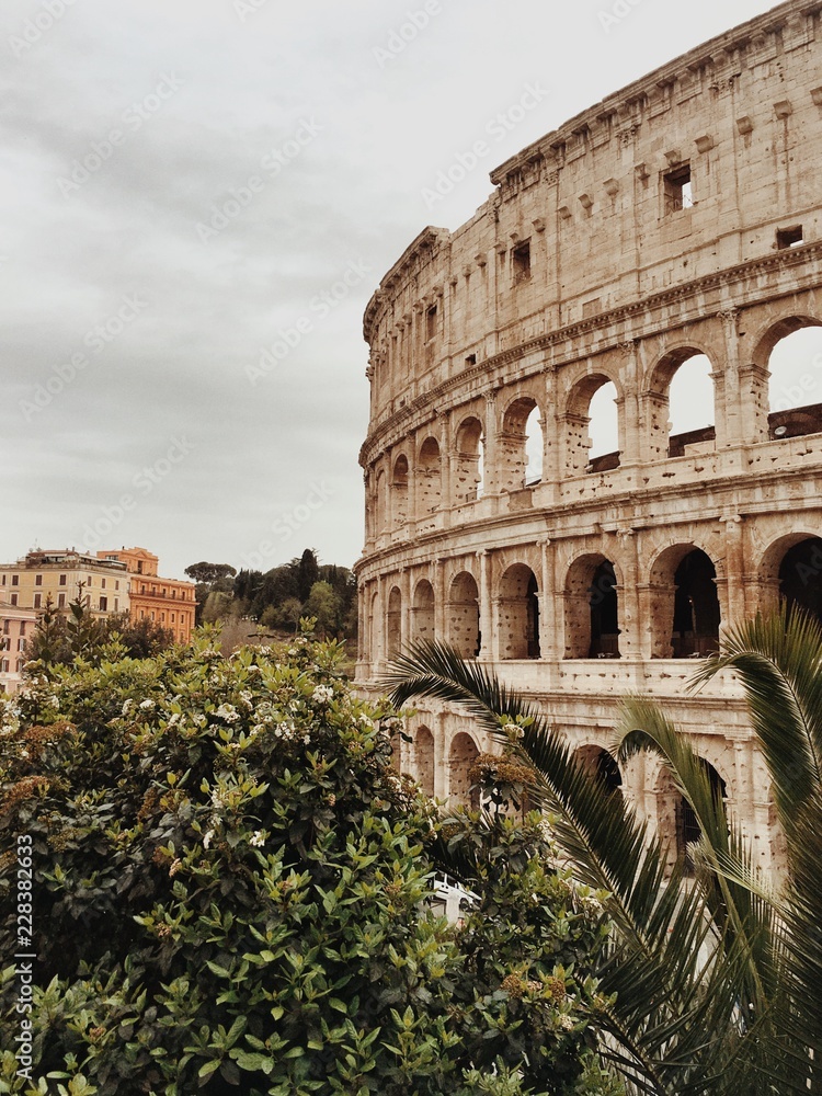 Colosseum Flavian Amphitheatre Rome Italy