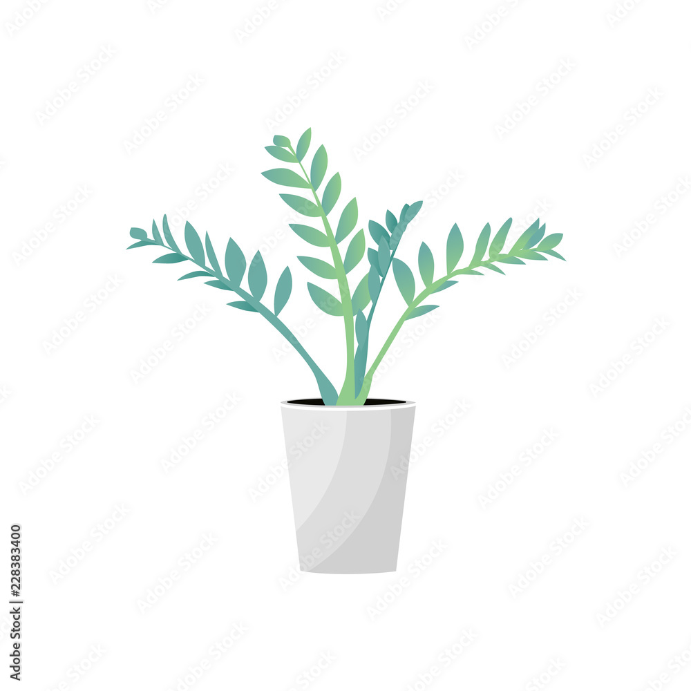 Fototapeta premium Vector Illustration. Plant in pot. Zamioculcas flower. Flat style