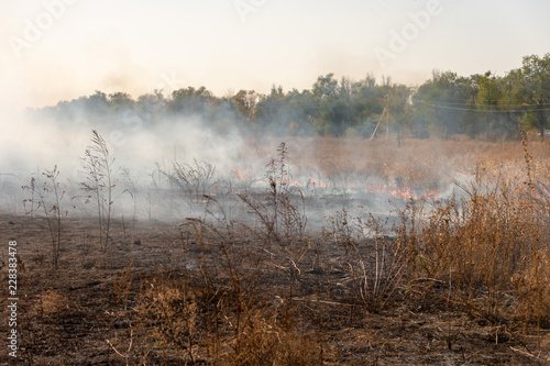 fire in the field - dry grass