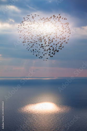 Birds silhouettes flying above the sea (in shape of heart)