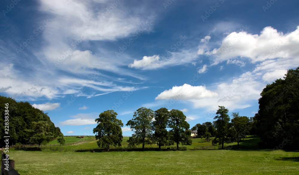 Bauernhof im Sommer mit blauem Himmel und Bäumen