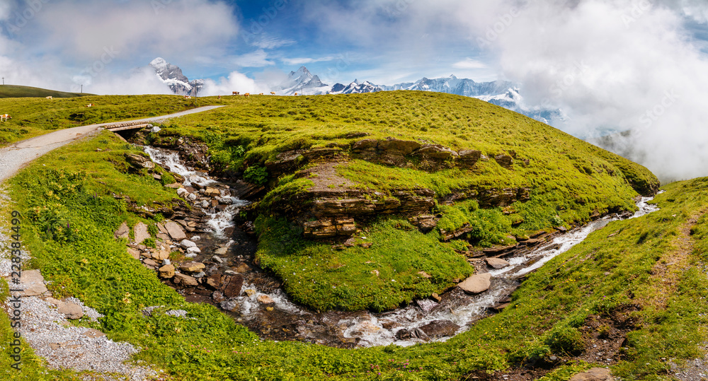 Great view of alpine misty hills. Location place Swiss alps, Grindelwald valley.