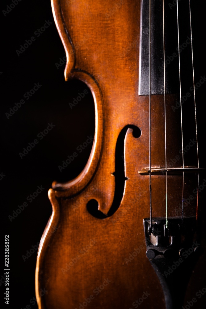 Close-up of a Violin, Isolated on Black Close-up of a Violin, Isolated on Black