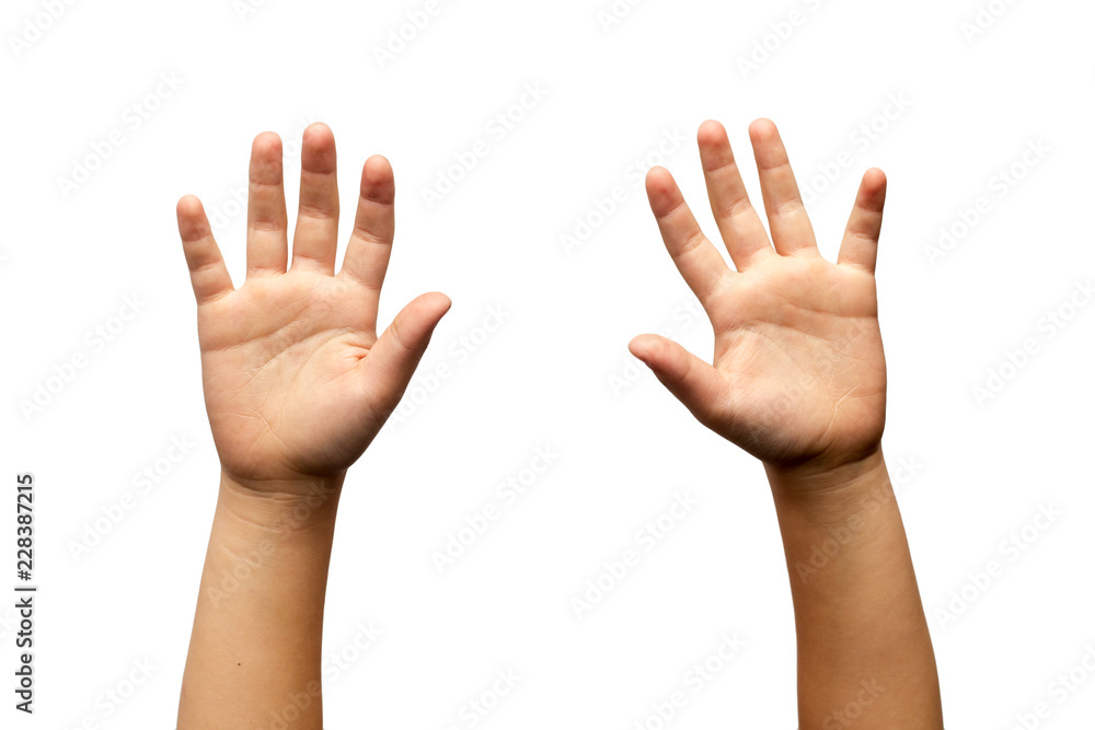 hands on white background hands on white background