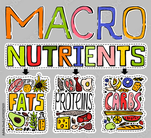 Main food groups