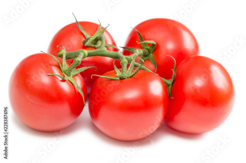 Tomaten freigestellt auf weißem Hintergrund
