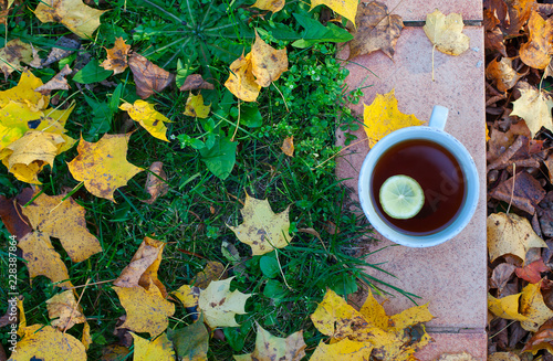tea and autumn leaves