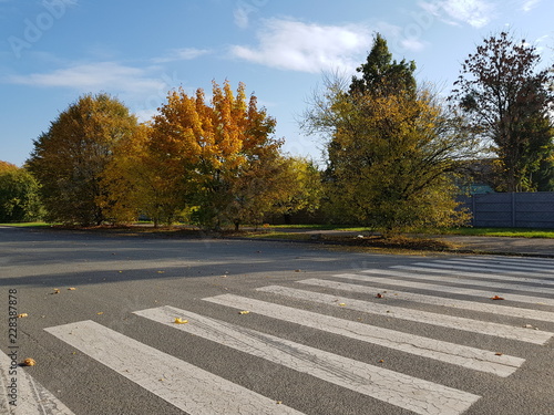 Pedestrian crossing in autumn on sunny day
