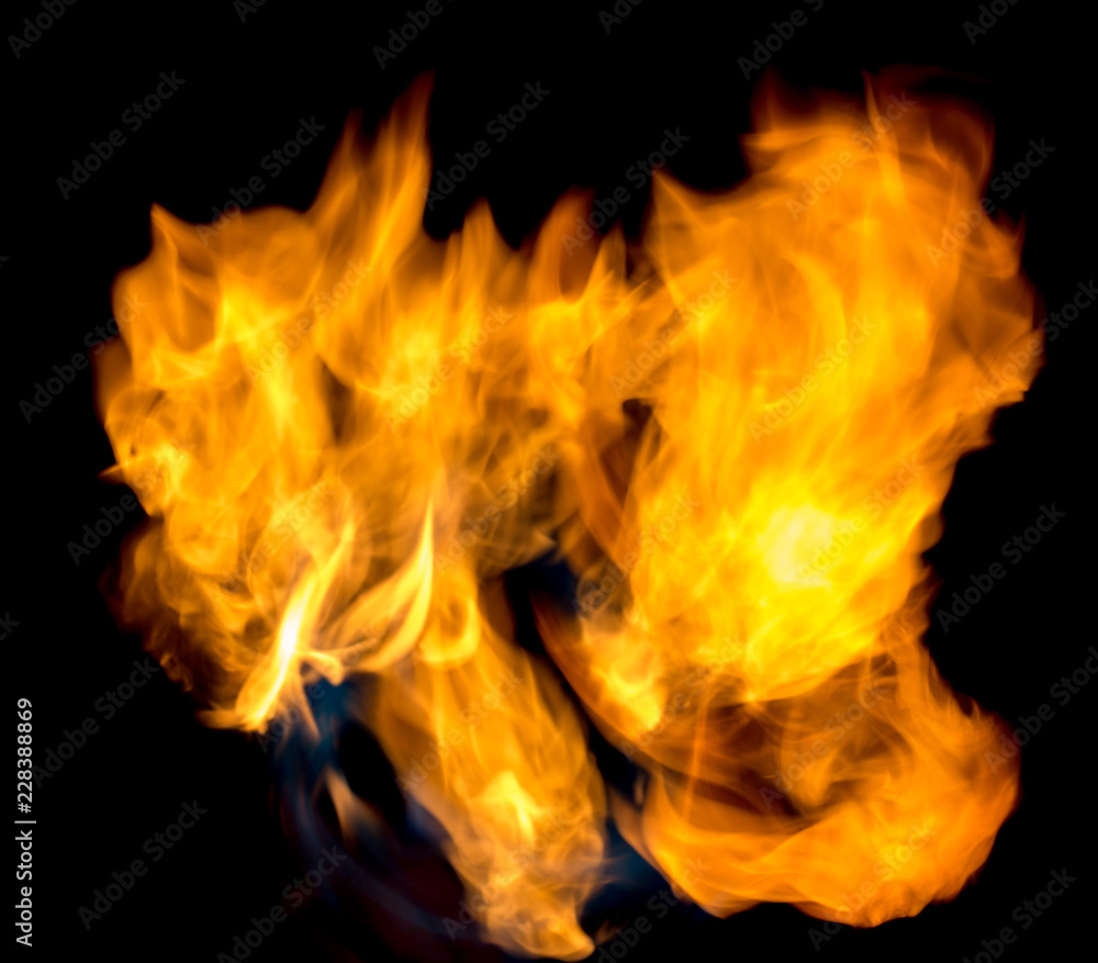 Fototapeta premium beautiful flame of fire