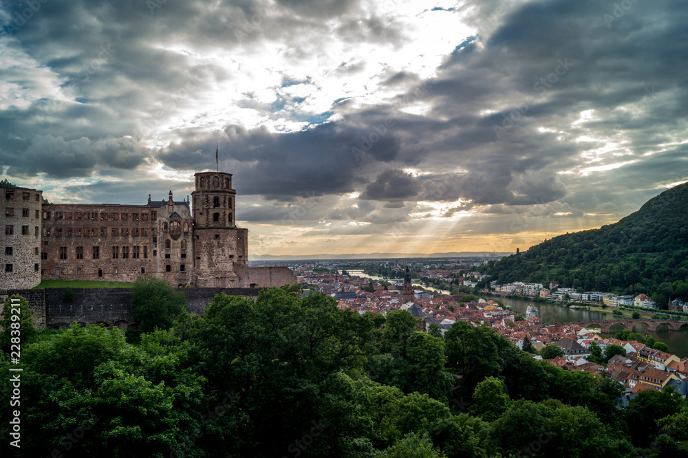Heidelberger SChloss und Altstadt vom Berg