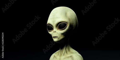 Extremely detailed and realistic high resolution 3d illustration of a grey alien photo