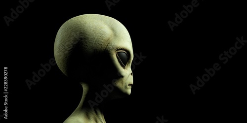 Obraz na plátně Extremely detailed and realistic high resolution 3d illustration of a grey alien
