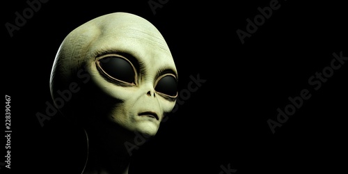 Extremely detailed and realistic high resolution 3d illustration of a grey alien