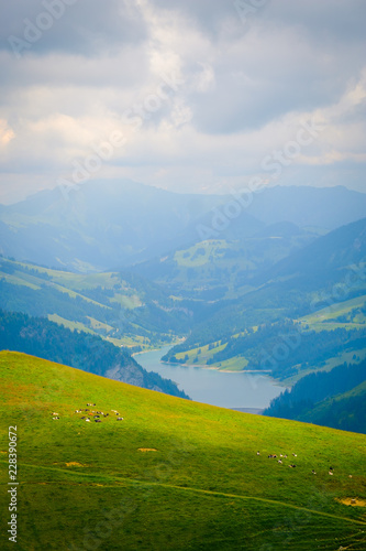 Typical summer mountains Switzerland landscape at sunny day time