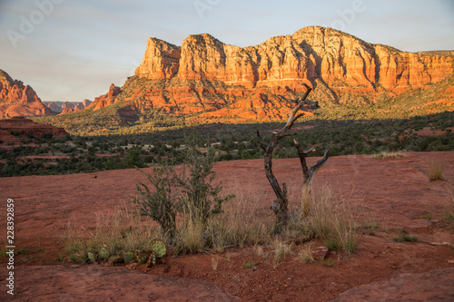 Sedona, Arizona. Sedona Rocks, Landscape.