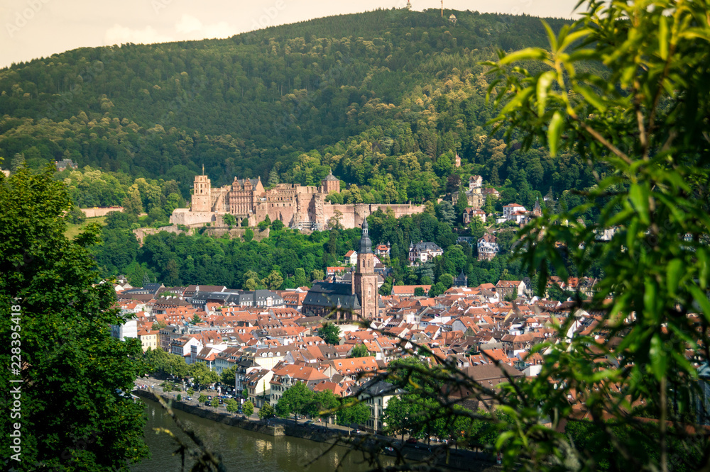 Blick auf Heidelberg Altstadt