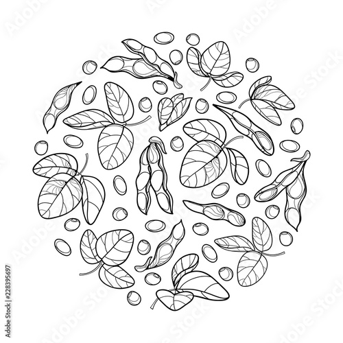 Vector round bunch with outline Soybean or Soy bean pod with beans and ornate leaf in black isolated on white background. Legume plant Soya in contour for vegetarian food drawing or coloring book.