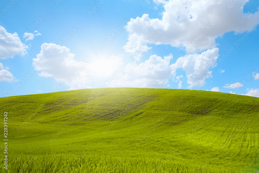 Green grass field against bright blue sky