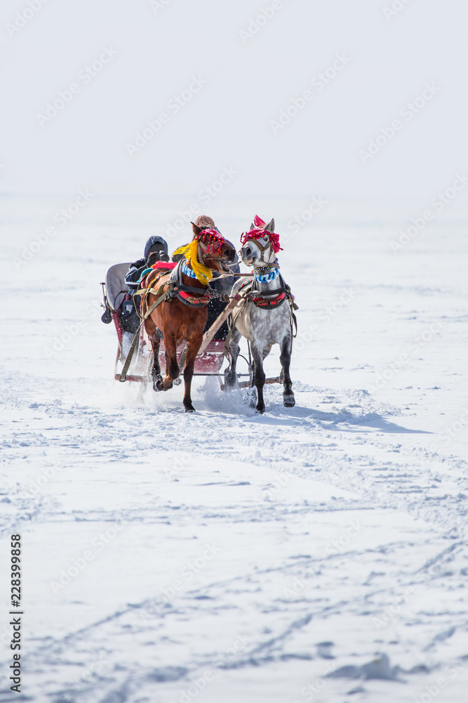 Horses pulling sleigh in winter - Cildir Lake, Kars Horses pulling sleigh in winter - Cildir Lake, Kars
