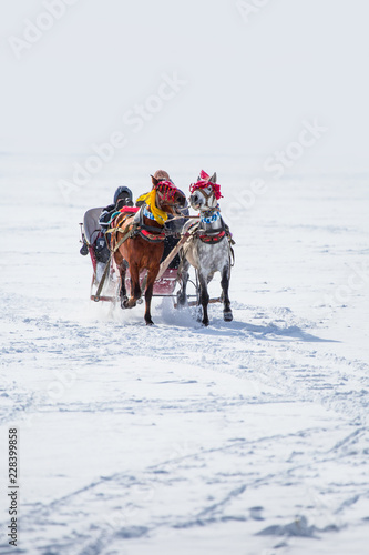 Horses pulling sleigh in winter - Cildir Lake, Kars
