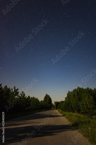 The road in the moonlight and around the tree © dmitriydanilov62