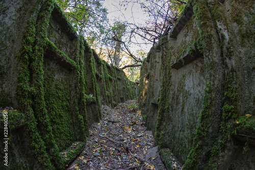 Ruined trenches in central europe. Old reinforced concrete German fortifications. photo