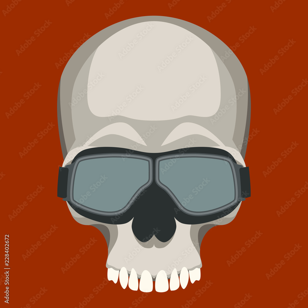 human skull vector illustration flat style  front 