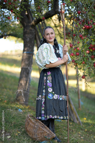 une belle femme récolte de pommes photo