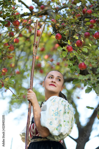 une belle femme récolte de pommes photo