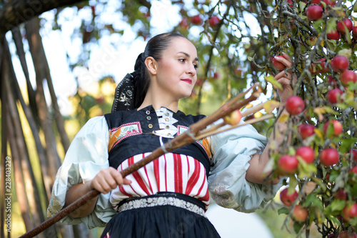 une belle femme récolte de pommes photo