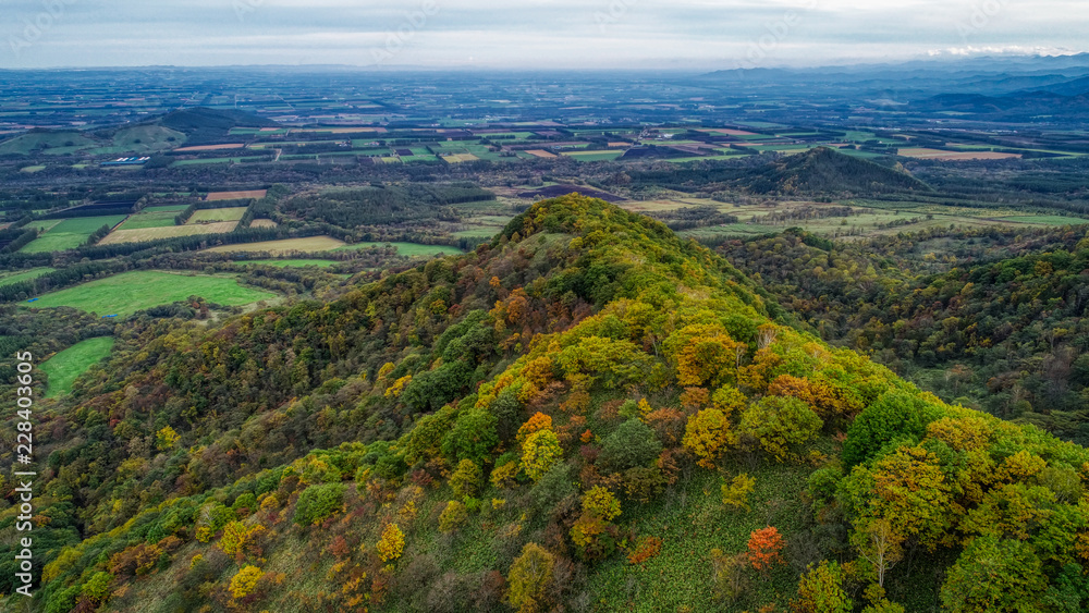 Fototapeta premium 山頂の秋