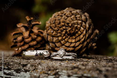 Wedding rings with pinecones