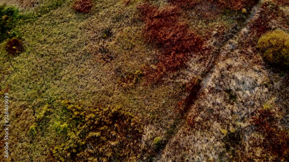 Top view on the wetlands swamp. Top view on the wetlands swamp.