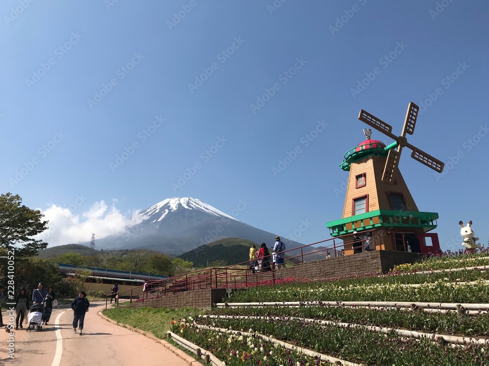 Fototapeta premium 富士山