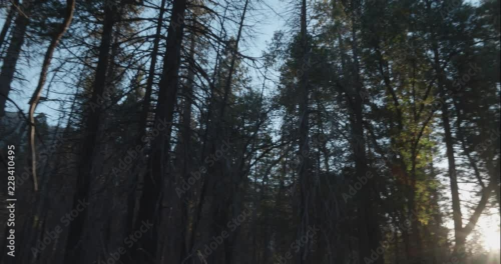 Yosemite pan from trees to El Capitan profile, shot in 10 bit C4K Yosemite pan from trees to El Capitan profile, shot in 10 bit C4K