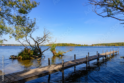 View of waterside and wooden pier on Wannsee lake and Havel river, during sunny day and clear sky in Berlin, Germany. Wood deck and tree on the lake. © Peeradontax