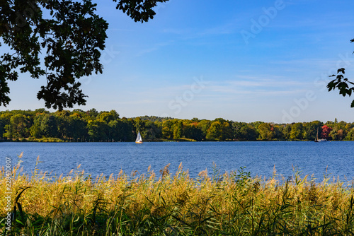 Fototapeta Naklejka Na Ścianę i Meble -  Natural landscape view of forest with autumn leaves in Pfaueninsel island and boat sail at Wannsee lake,  Havel river from colour changed grassland on waterside of Westlicher Düppeler forest, Berlin.