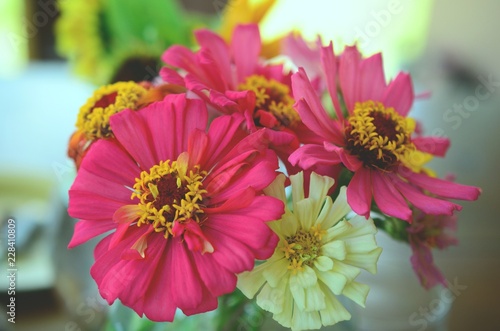 Vintage faded photo of flowers, bright colors Chrysanthemums and Sunflowers. Lovely bright colors floral arrangement