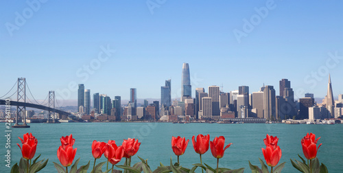 Photography Skyline of San Francisco with red flowers on front