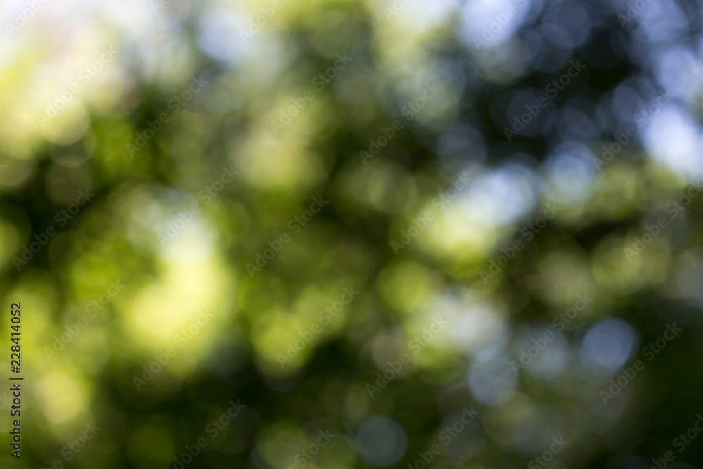 green bokeh background,green bokeh,green bokeh abstract green bokeh background,green bokeh,green bokeh abstract