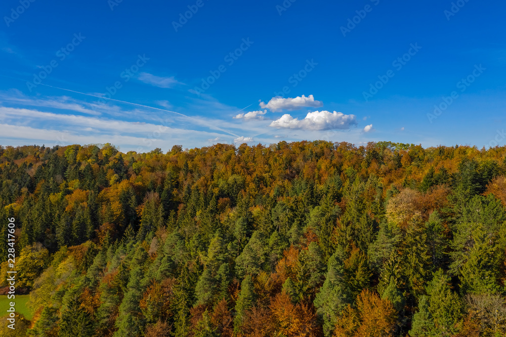 Herbstliche Bäume mit bunten Blättern von oben